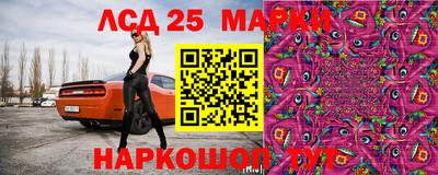 гидра Малоярославец