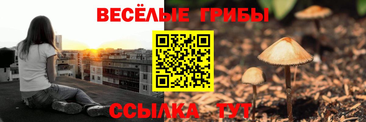 Костомукша  Галлюциногенные грибы мицелий  купить закладку  Вход с VPN 